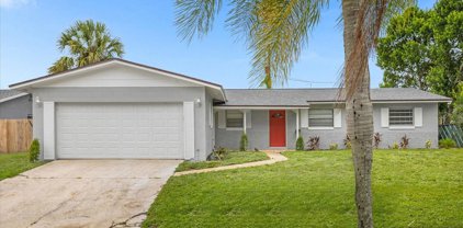 4821 Judy Ann Court, Orlando