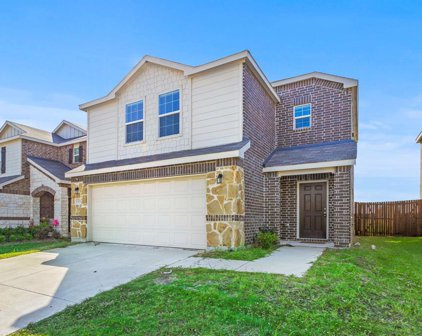 1315 Rosenberg  Drive, Forney