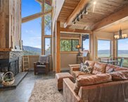 31500 Runaway Place Unit 401, Steamboat Springs image