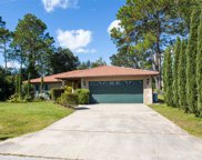 43 Bronson Lane, Palm Coast image