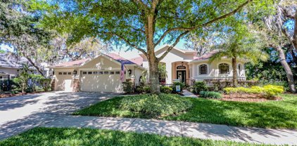 15604 Ibiscrest Court, Lithia