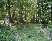 lot 11 Dyson Road, Swiftwater image