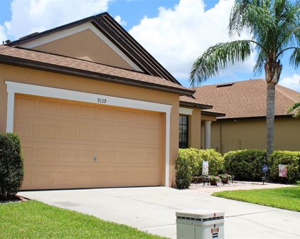 9139 Tivoli Chase Drive Drive, Orlando