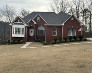 254 Lakeview Drive, Pinson image