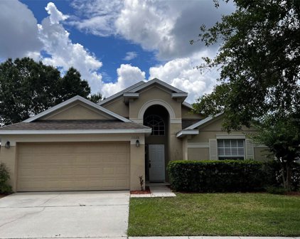 11126 Rouse Run Circle, Orlando