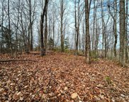 Lot 12 Rhododendron  Drive, Saluda image