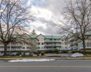 19236 Ford Road Unit 315, Pitt Meadows image