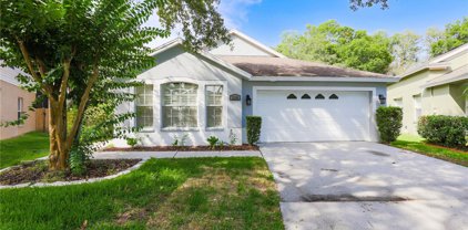 2136 Brandon Park Circle, Brandon