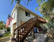 29195 Aster, Big Pine image