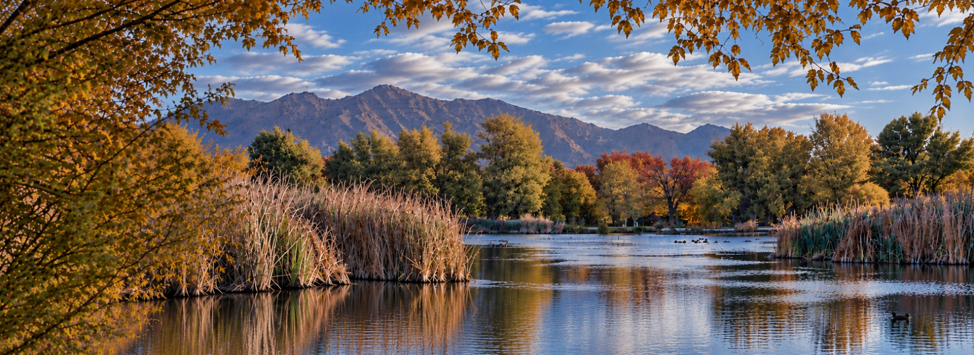 Autumn lake and reeds framed by golden trees with mountains and clouds in the distance