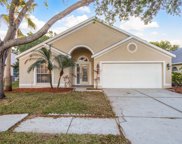 11711 Carrollwood Cove Drive, Tampa image