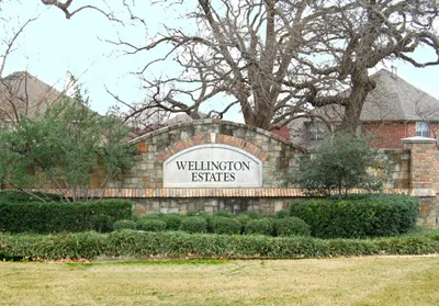 Homes for Sale in Wellington, Flower Mound TX