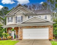 221 Lylic Woods  Drive, Fort Mill image