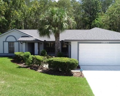 14661 Eagles Crossing Drive, Orlando