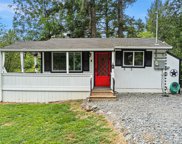 34431 Tanwax Drive E, Eatonville image