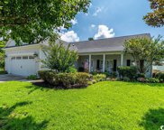 445 Blackberry Ln., Myrtle Beach image