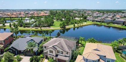 11883 Frost Aster Drive, Riverview