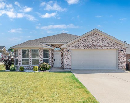 4865 Eagle Trace  Drive, Fort Worth
