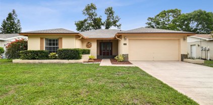 11210 Fiddlewood Drive, Riverview