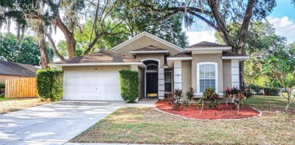 529 Valencia Park Drive, Seffner