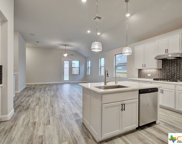1623 Seekat Drive, New Braunfels image