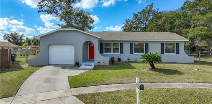 4546 Santa Cruz Court, Orlando