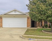 9952 Blue Bell  Drive, Fort Worth image