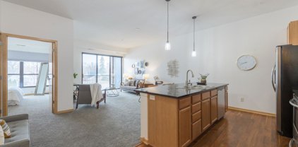 4525 Park Commons Drive Unit #316, Saint Louis Park