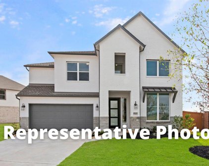 3140 Stingray Cove Drive, Katy