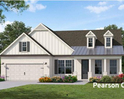 704 Northside Lane, Canton