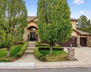 9203 S Lost Hill Drive, Lone Tree image