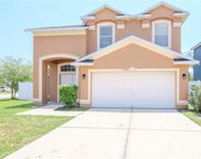 11302 Marion Lake Court, Riverview image