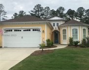794 Tiki Terrace, Hardeeville image