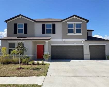 287 Rain Berry Avenue, Ruskin