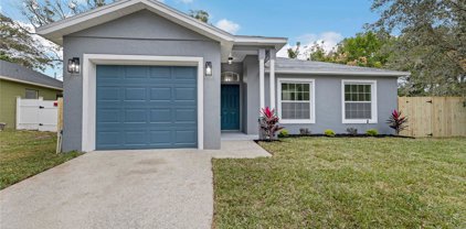 1499 Woodwind Drive, Apopka
