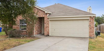 1110 Alexandria  Drive, Forney