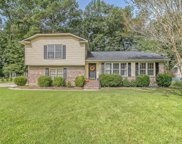 219 Pointer Drive, Summerville image