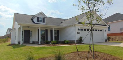 231 SUTTON Court, Graniteville