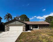 3233 Oakwood Place, Tarpon Springs image