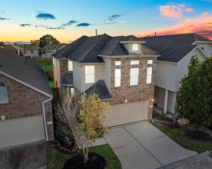1939 Natalie Rose Drive, Houston