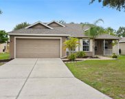 12013 Warwick Circle, Parrish image
