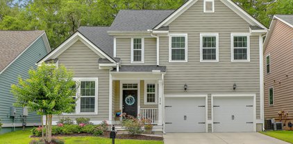 176 Ashley Bluffs Road, Summerville