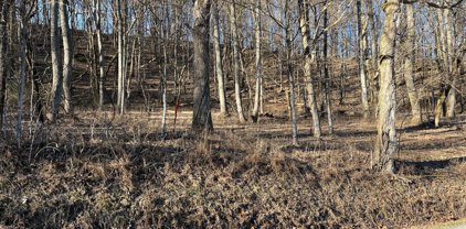 Thompson Hill Rd., Bethpage