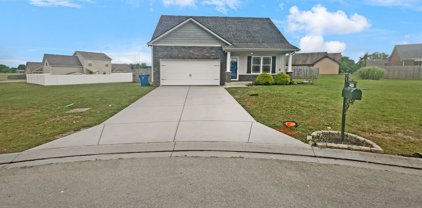 5451 Elkanah Ct, Christiana