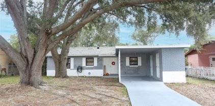 1617 Pine Lake Road, Orlando