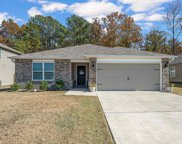 193 Stonebriar Drive, Calera image