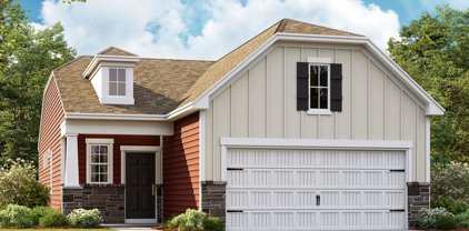 1410 Turkey Roost  Road Unit #284, Fort Mill
