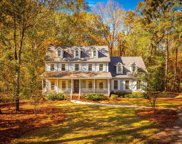 154 Blue Church Court, Columbia image