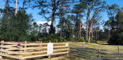 17571 E Jamestown  Circle, North Fort Myers