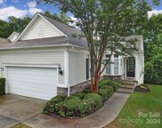 17495 Hawks View  Drive, Fort Mill image